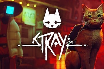 Stray