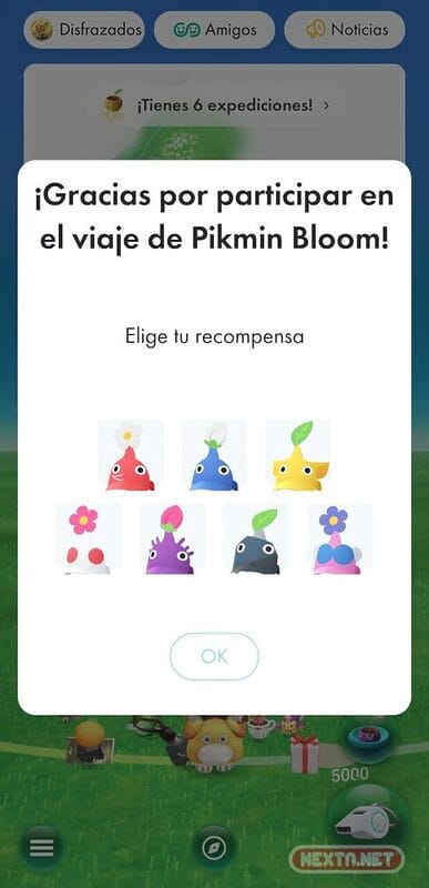 Evento pago Pikmin Bloom Desafío por doquier